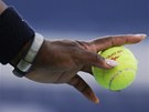 PÍPRAVA NA PODÁNÍ. Serena WIlliamsová se chystá na servis ve finále US Open.
