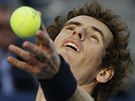 NA PODÁNÍ. Andy Murray podává ve finále US Open proti Novaku Djokoviovi.