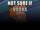 "Nejsem si jistý, jestli ta vodka..." íká Fry ze seriálu Futurama.
