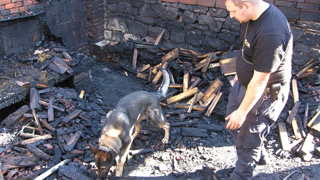 Por na dom ve Vlnov zashl pedevm stechu a pdu. Na mst zasahoval policejn pes Cedo.