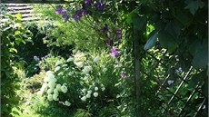 Pohled od vstupu na u�itkovou zahradu zp�t  jezírku