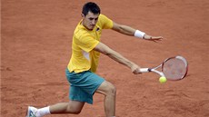 BEKHEND. Australský tenista Bernard Tomic v Davis Cupu proti Nmecku. 