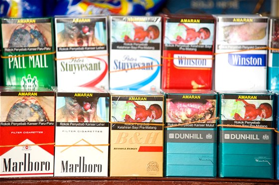 Odstraující obrázky následk kouení na cigaretových krabikách jsou v zahranií celkem bné, snímek je z prodejny v malajském Kuala Lampur.