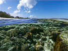 Ostrov Lady Elliot, Velký bariérový útes v Austrálii
