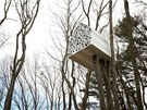 Stromový dm nazvaný Tree House Bird Apartment stojí ve stedisku ivotního...