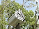 Stromový dm nazvaný Tree House Bird Apartment stojí ve stedisku ivotního...