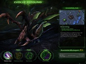 StarCraft 2: Heart of Swarm