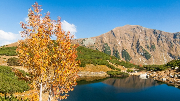 Rohsk Plesa, Zpadn Tatry