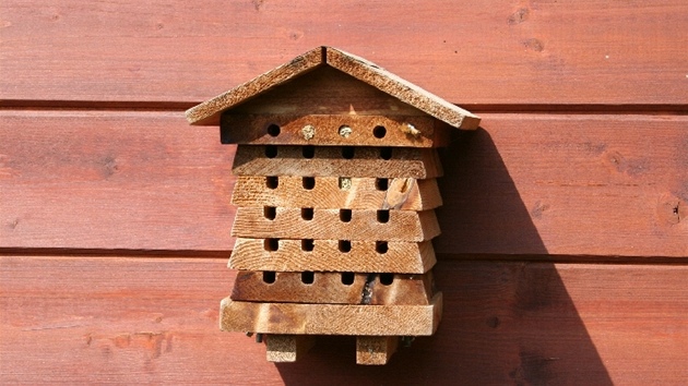 Domeček pro včelky samotářky si můžete sami vyrobit, nebo koupit. Vyplněné chodbičky už jsou obsazené.