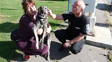 astná fenka Azuka se po dvou msících potulování po brnnském Komárov