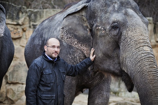 editel praské zoo Miroslav Bobek a slon indický (ilustraní foto)