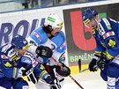 Plzeský Hollweg (uprosted) v sevení hrá Komety Brno.