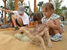 Dinopark v Ostrav�
