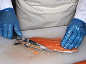 Filetování lososa (ilustraní foto)