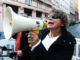 Jitka Nmcov (na snmku) nat dokument o Zuzan Michnov. Do filmu obsadila...