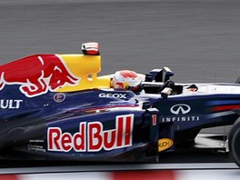 PRO VTZSTV. Nmeck pilot Sebastian Vettel si jede pro pole position v