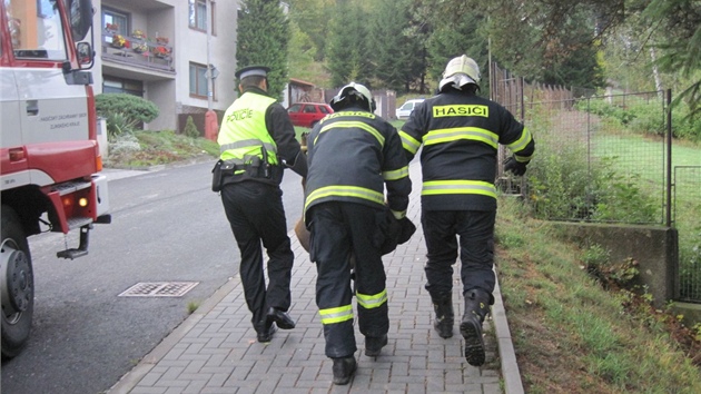 Vysvobozenou srnku hasii a mstt strnci po oeten odnesli mimo zstavbu a vypustili ji do voln prody.