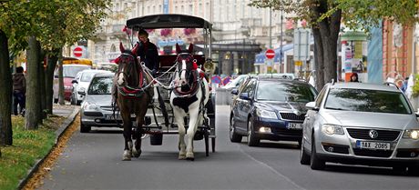 Z nehody koského speení s koárem vyvázly eny bez vánjího zranní. Ilustraní snímek