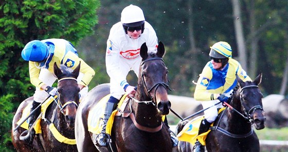 Ped rokem se z triumfu na Velké pardubické radoval Jan Faltejsek v sedle Orphee des Blins.