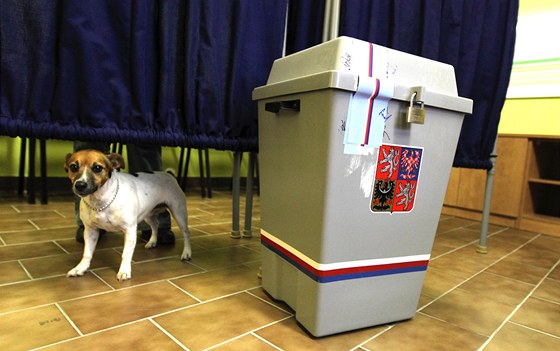 Třebíčsko a Havlíčkobrodsko čeká o víkendu druhé kolo senátních voleb.
