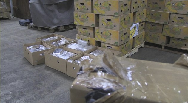 Policie našla v Klecanech zásilku banánů s kokainem v hodnotě dvou miliard