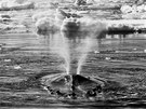 Píroda a ivotní prostedí, 1. místo: VÁCLAV ILHA, volný fotograf: Antarktida...