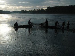 Jak se kruh stahuje, zaíná se hladina eit rybkami.