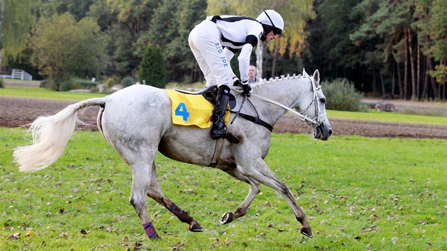 SMUTN LOUEN. Pro blku Sixteen v sedle s Josefem Bartoem byla leton Velk pardubick poslednm zvodem vrcholov kariry. Ale nebylo to vydaen louen, dostih nedokonila.