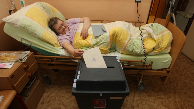 Ve Zln lid do krajskch voleb hlasovali tak v domov dchodc na Bureov. Zdeka Vrbov mohla hlasovat pmo ze svho lka.