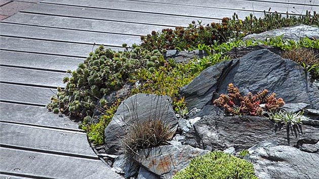 Na okrasu terasy architekti vytvořili ostrůvky osázené travinami a sukulentními rostlinami. Zdroj: www.mujdum.cz