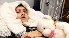 Patnáctiletá blogerka Malála Júsufzajová se zotavuje po útoku Talibanu