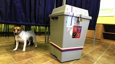 Volby v Dukovanech (12. íjna 2012).