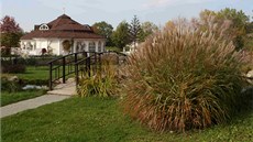 Areál P�írodního ráje - arboreta Horizont v Bystrovanech u Olomouce.