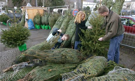 Inspektoi OI se v Karlovarském kraji zamili i na prodej vánoních stromk. (Ilustraní snímek)