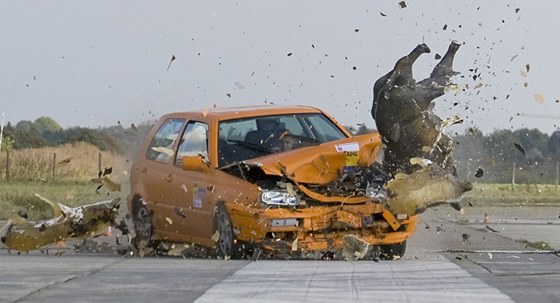 Crash test: auto vs. divok