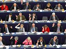 Hlasování Evropského parlamentu ve trasburku 