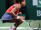 POJ! Serena Williamsová se hecuje v utkání Turnaje mistry v Istanbulu.