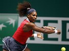 Serena Williamsová bojuje v semifinále Turnaje mistry v Istanbulu. 