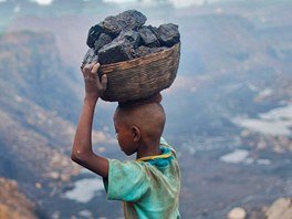 INDICKÝ UHLÁK. Mladý Ind vynáí uhlí z voln pístupného dolu ve stát...