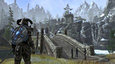 The Elder Scrolls Online má nelehký úkol. Bude toti bojovat o výsluní na peplnném trhu on-line her na hrdiny.