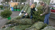 Vánoní stromky i pes vyí DPH nepodraí.