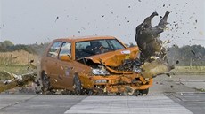 Crash test: auto vs. divo�ák