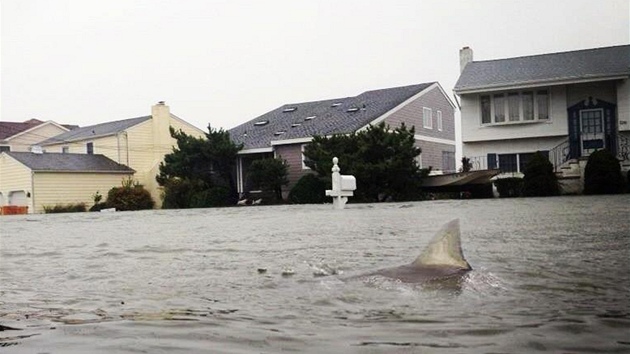 Na jedn z falench fotografi huriknu Sandy plave ralok zatopenm mstem Wildwoods ve stt New Jersey.