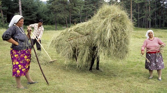 Francouztí agenti si pít dají na bulharské sedláky pozor. ILustraní foto