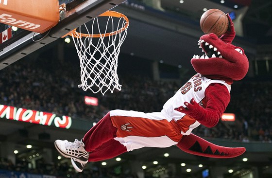 Maskot basketbalového Toronta Raptors baví diváky bhem zápasu s Minnesotou
