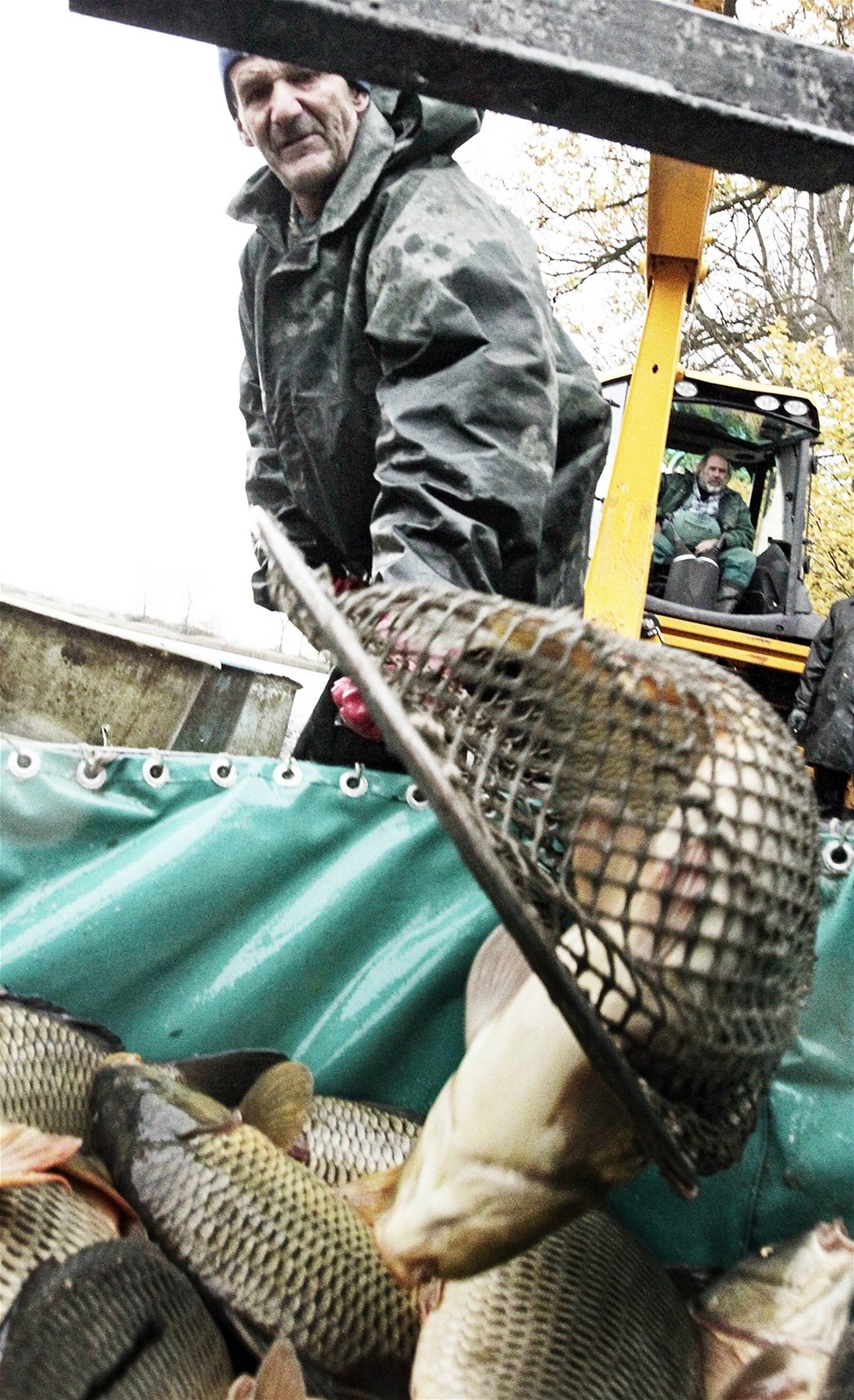 Výlov ptadvacetihektarového rybníka Lodrant v Trusnov na Holicku.