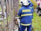 Hasii v Olomouci zachraují srnky uvázlé mezi tyemi kovového hbitovního