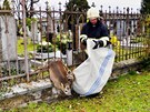 Hasii v Olomouci zachraují srnky uvázlé mezi tyemi kovového hbitovního