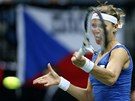 TVRD DO NÍ. eská tenistka Lucie afáová bojuje ve fedcupovém finále proti