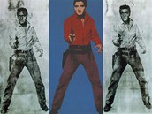 Z Elvise Presleyho udlal Andy Warhol kovboje.
